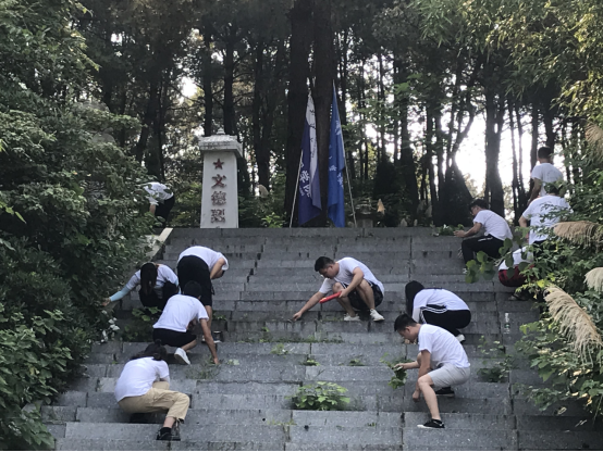 太阳网集团tcy8722