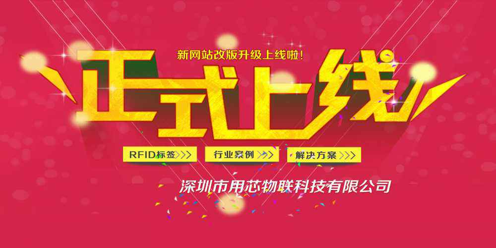 大连杨金数据挖掘科技有限公司网站上线